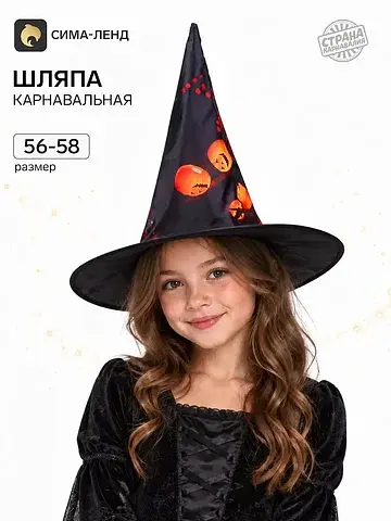 Карнавальная шляпа