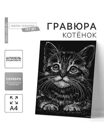 Гравюра Школа талантов