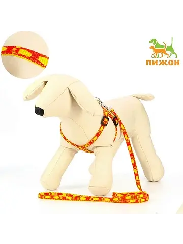 Шлейка с поводком Пижон