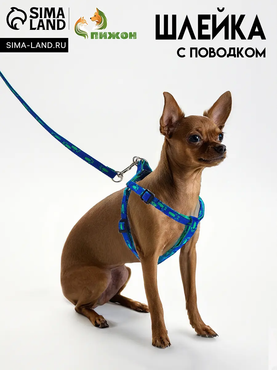 Шлейка с поводком Пижон Большая лапа синяя зелёная