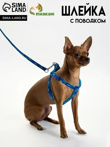 Шлейка с поводком Пижон