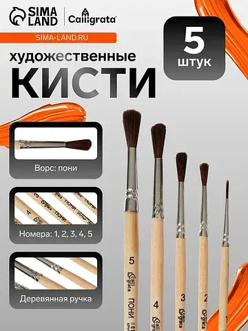 Набор кистей для рисования, пони, 5 штук