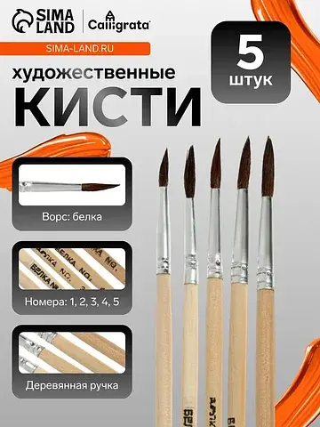 Кисти для рисования, белка, 5 штук: № 1,