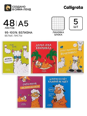 Тетради 5 штук, 48 листов в клетку