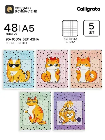 Тетради 5 штук, 48 листов в клетку