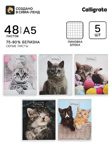 Тетради 48 листов в клетку,