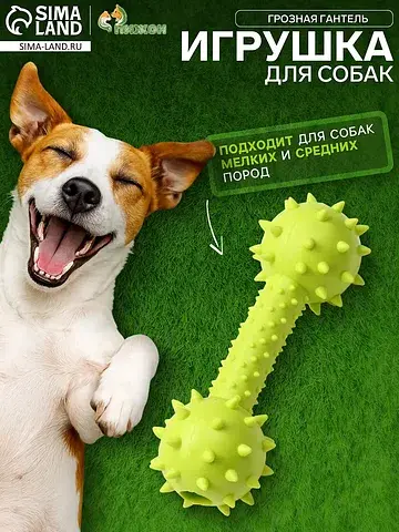 Жевательная игрушка для собак