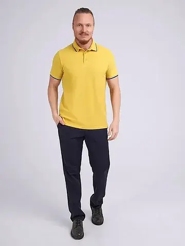 Поло мужское CLEVER