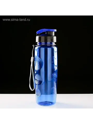 Бутылка для воды спортивная, 650 мл, 23×