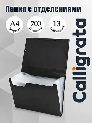 Папка картотека а4, , 13 отделений, плас