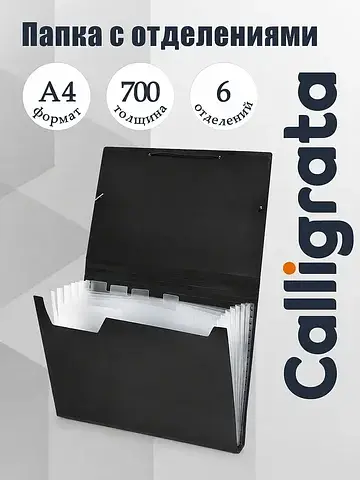 Папка картотека а4, , 6 отделений, пласт