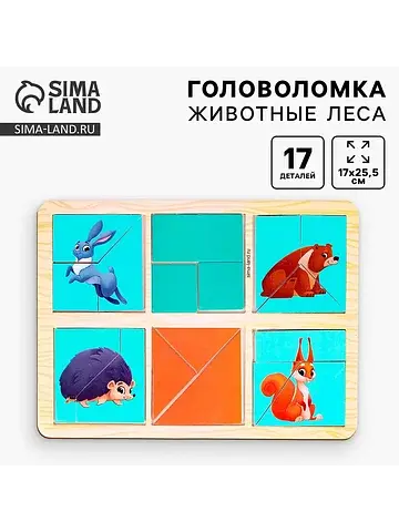 Головоломка геометрическая деревянная