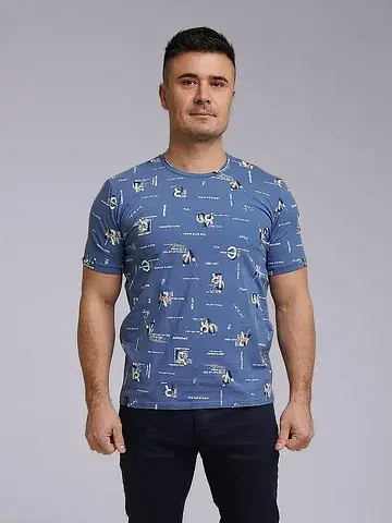 Футболка мужская CLEVER