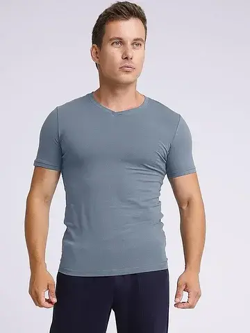 Футболка мужская CLEVER