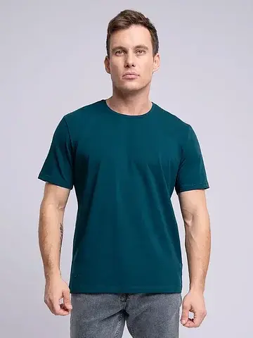 Футболка мужская CLEVER