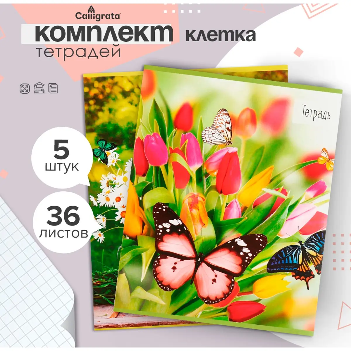 Тетради Calligrata 36 листов в клетку микс