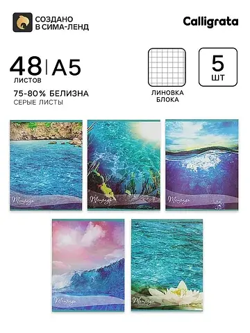 Тетради 5 штук, 48 листов в клетку,