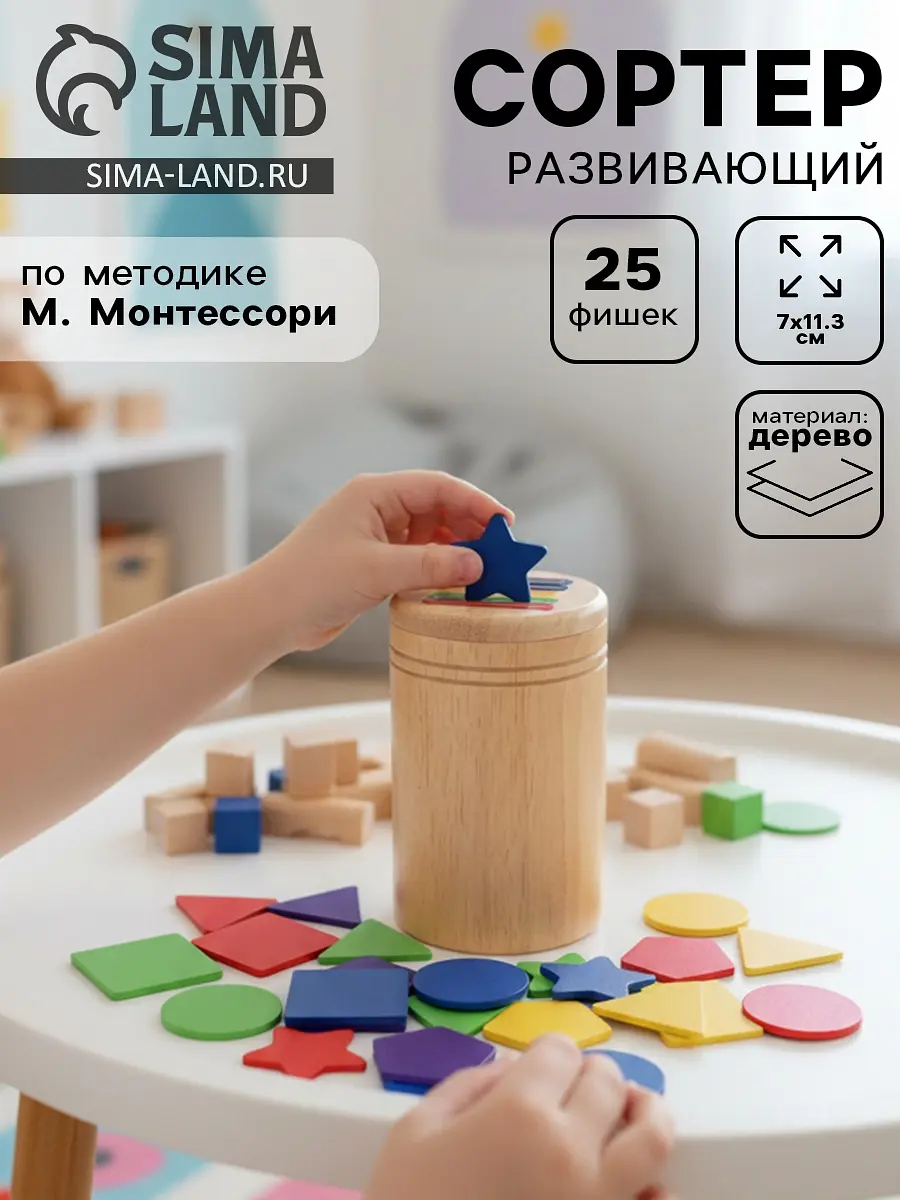 Сортер деревянный развивающий по методике Монтессори