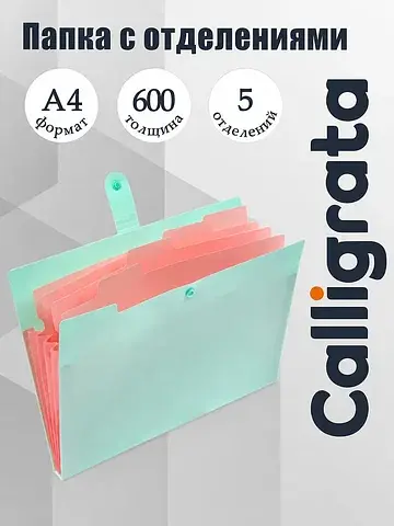 Папка а4, 5 отделений, , 600 мкм, на кно