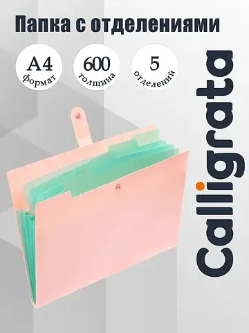 Папка а4, 5 отделений, , 600 мкм, на кно