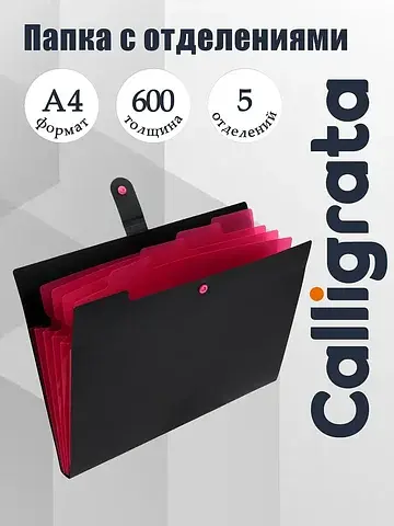 Папка а4, 5 отделений, , 600 мкм, на кно