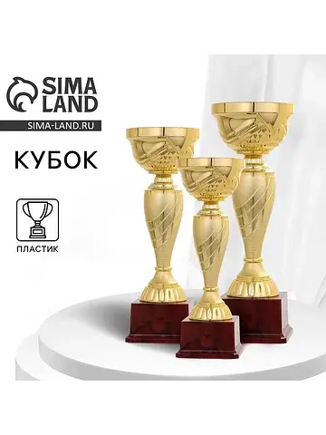 Кубок спортивный, подставка пластик, 37×