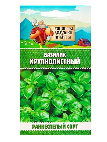 Семена базилик