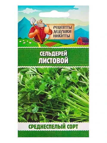 Семена сельдерей