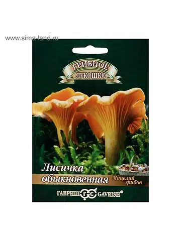 Мицелий грибов Гавриш