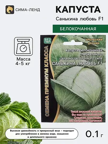 Семена капуста белокочанная