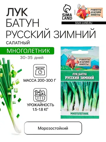 Семена лук-батун