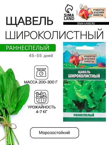 Семена щавель
