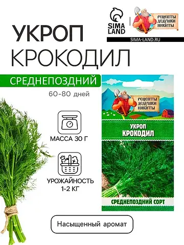 Семена укроп