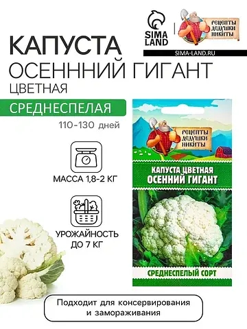 Семена капуста цветная