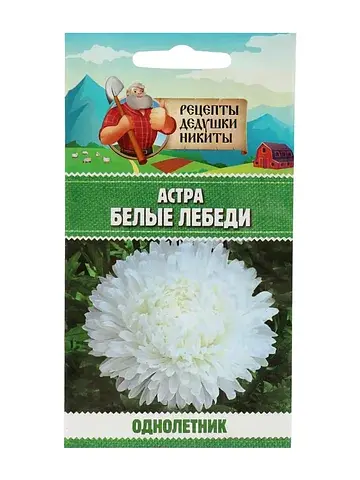 Семена цветов астра