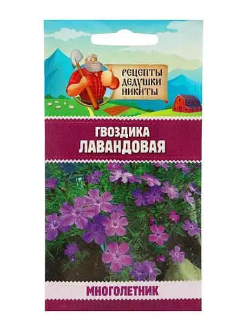 Семена цветов гвоздика многолетняя лаван