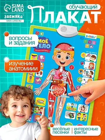 Обучающий плакат ZABIAKA