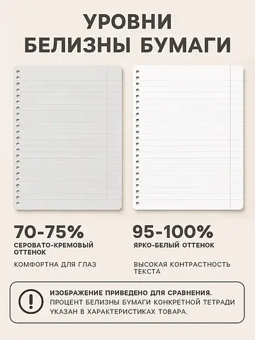Тетрадь 10 штук, 24 листа в линейку