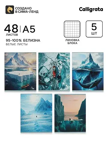 Тетрадь 5 штук, 48 листов в клетку