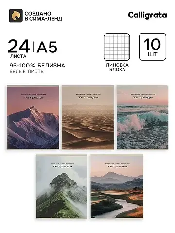 Тетрадь 10 штук, 24 листа в клетку