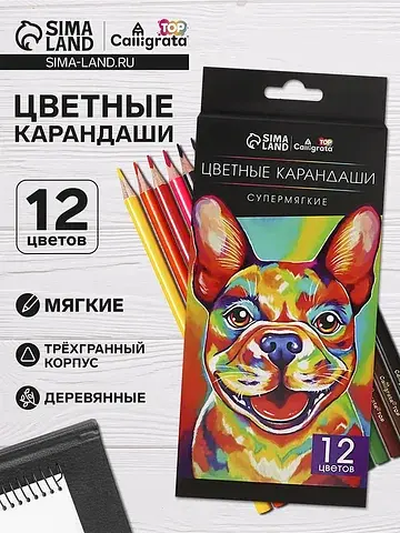 Карандаши calligrata, 12 цветов, супермя