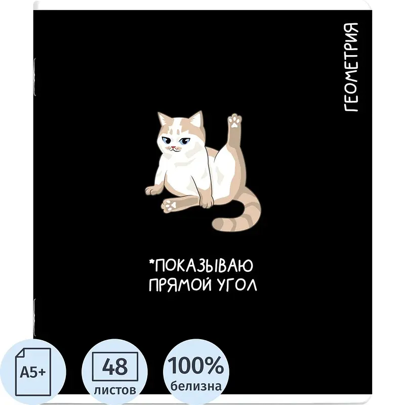 Тетрадь предметная по геометрии Феникс+ Коты мемы А5+ 48 листов