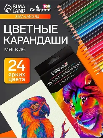 Карандаши calligrata, цветные, 24 цвета,