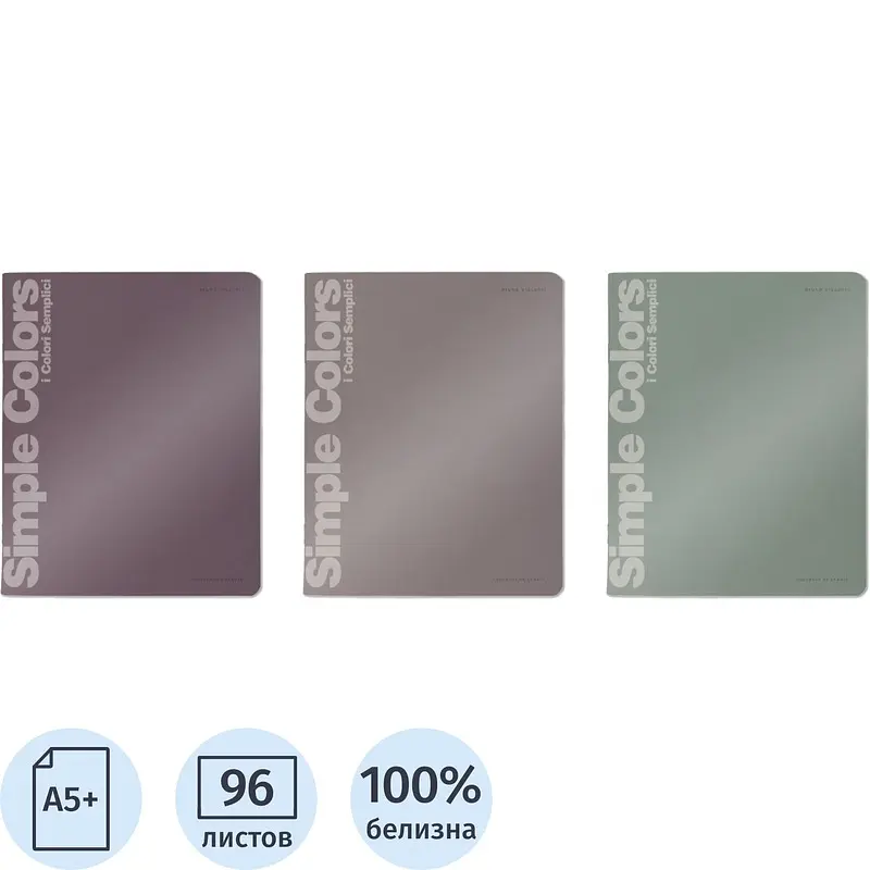 Тетрадь общая Bruno Visconti Morandi colors 96 листов А5+