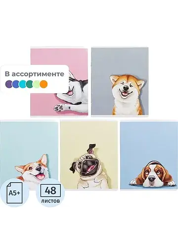 Тетрадь общая Феникс+