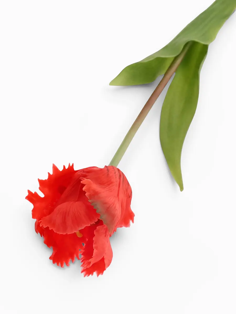 Цветы искусственные Poetry in flowers тюльпан махровый 40 см красный