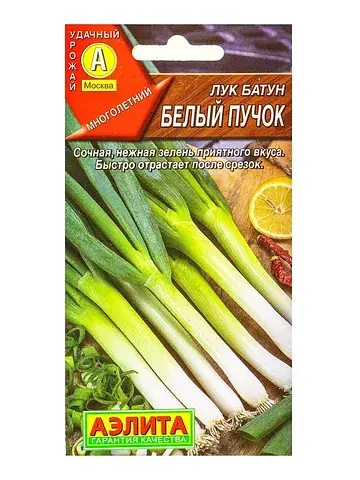 Семена лук батун