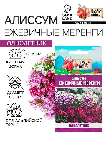 Семена цветов алиссум
