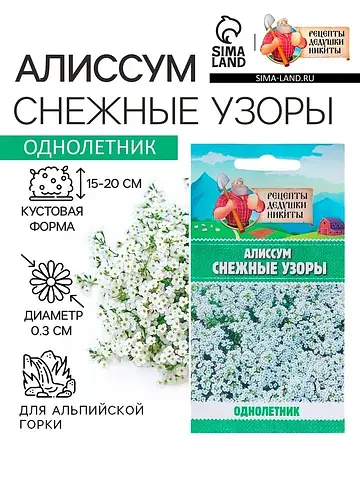 Семена цветов алиссум