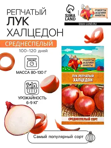 Семена лук репчатый